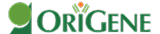 origene logo
